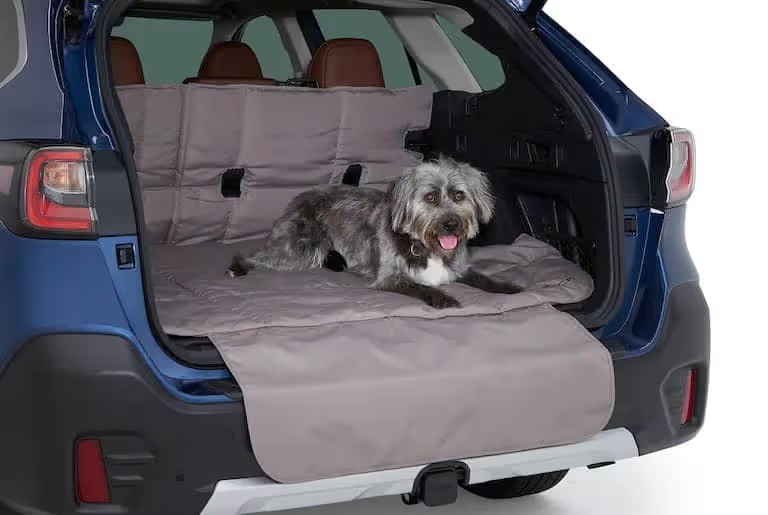 Best Pet-Friendly Car Accessories: Travel Comfortably with Your Furry Friends